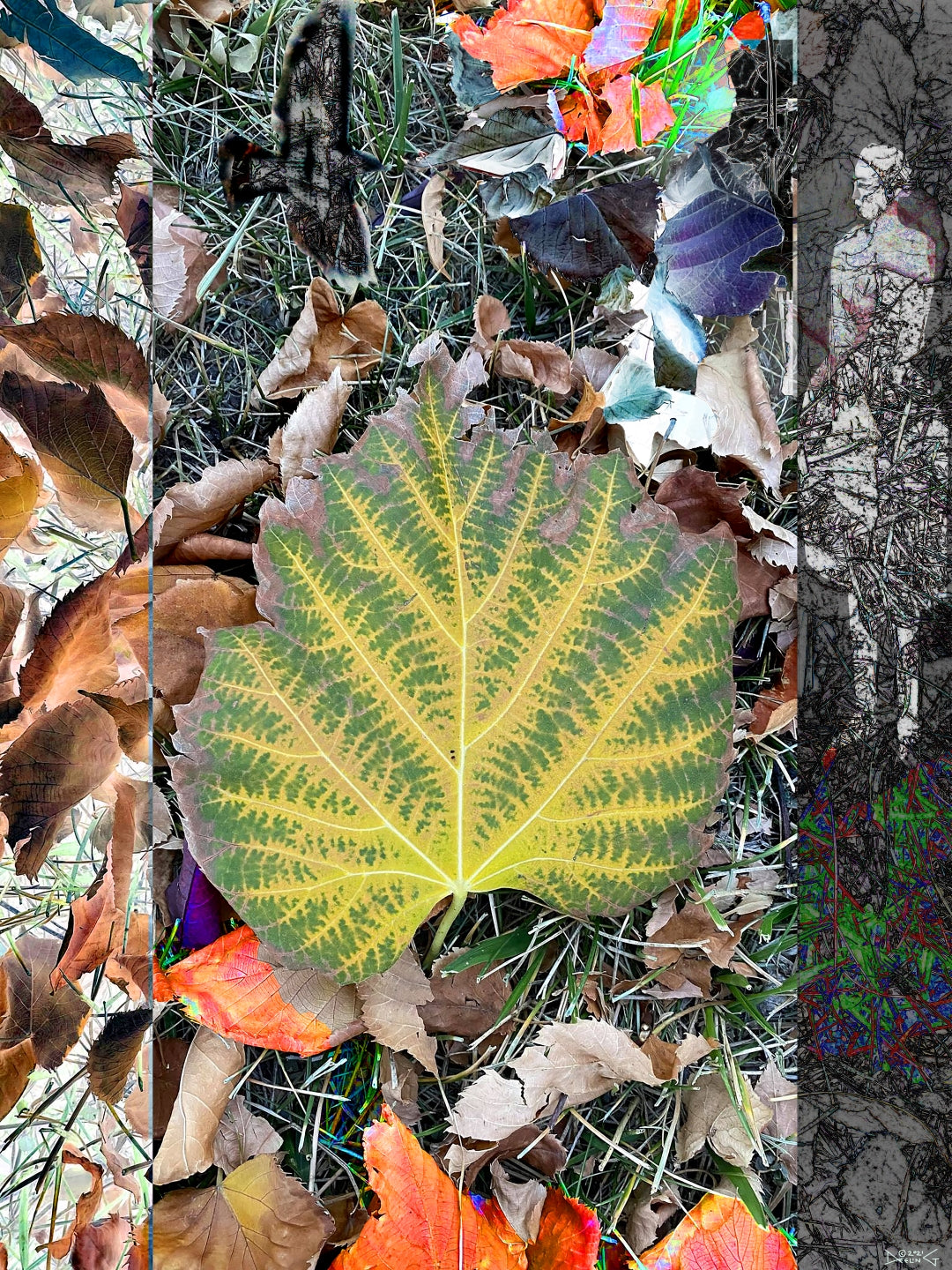 Autumn, No. 5 by Deeling C. Gregory