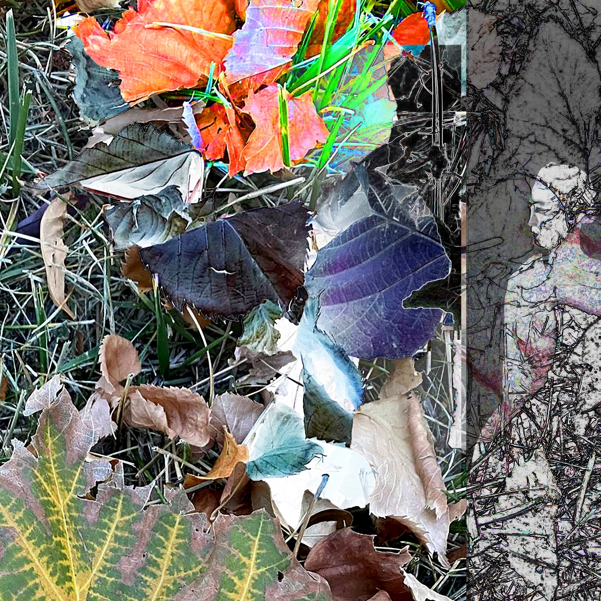 Autumn, No. 5 by Deeling C. Gregory