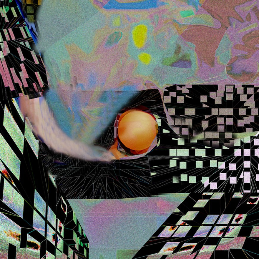 Bird of Paradise, No. 5 by Deeling C. Gregory