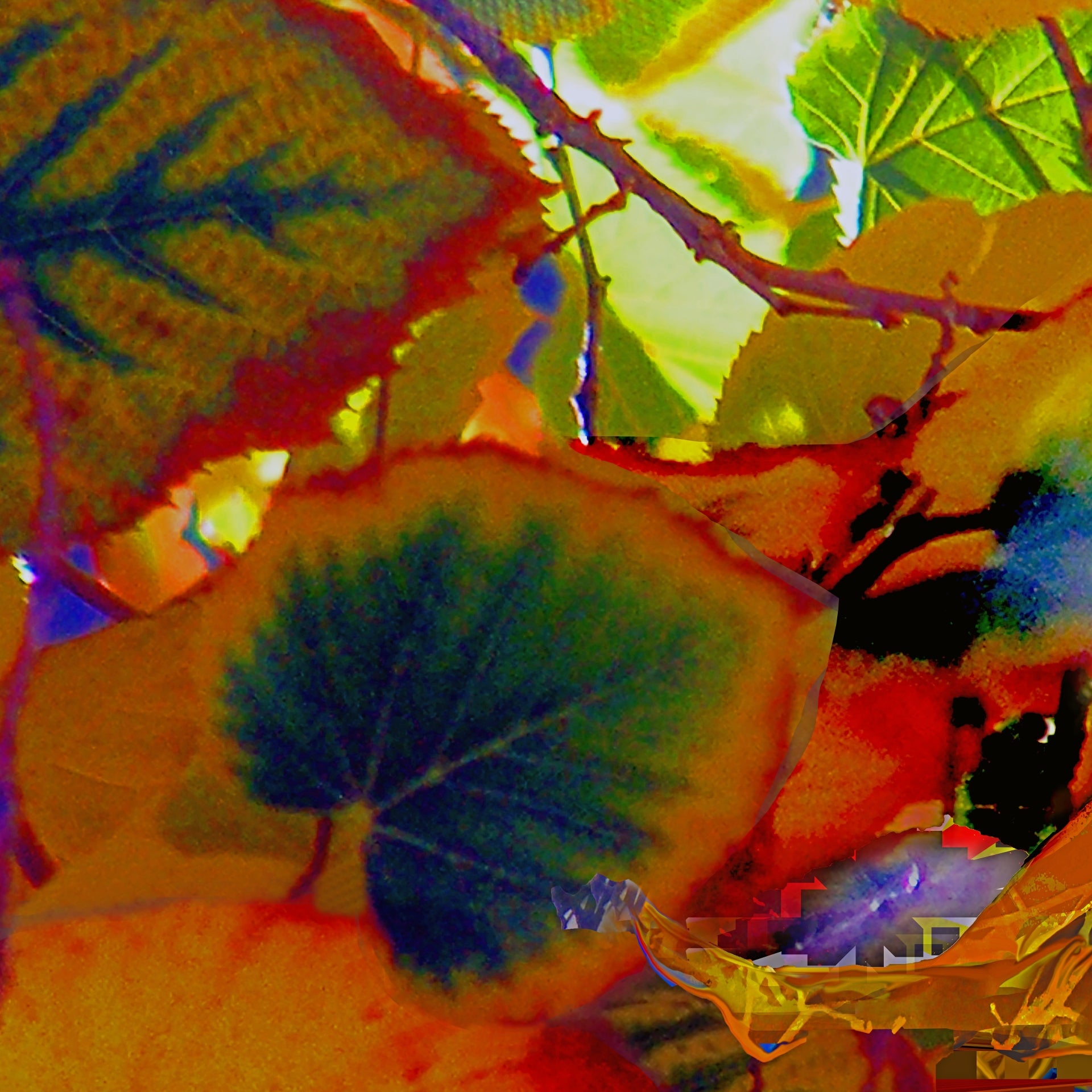 Bright Fall, No. 2 by Deeling C. Gregory