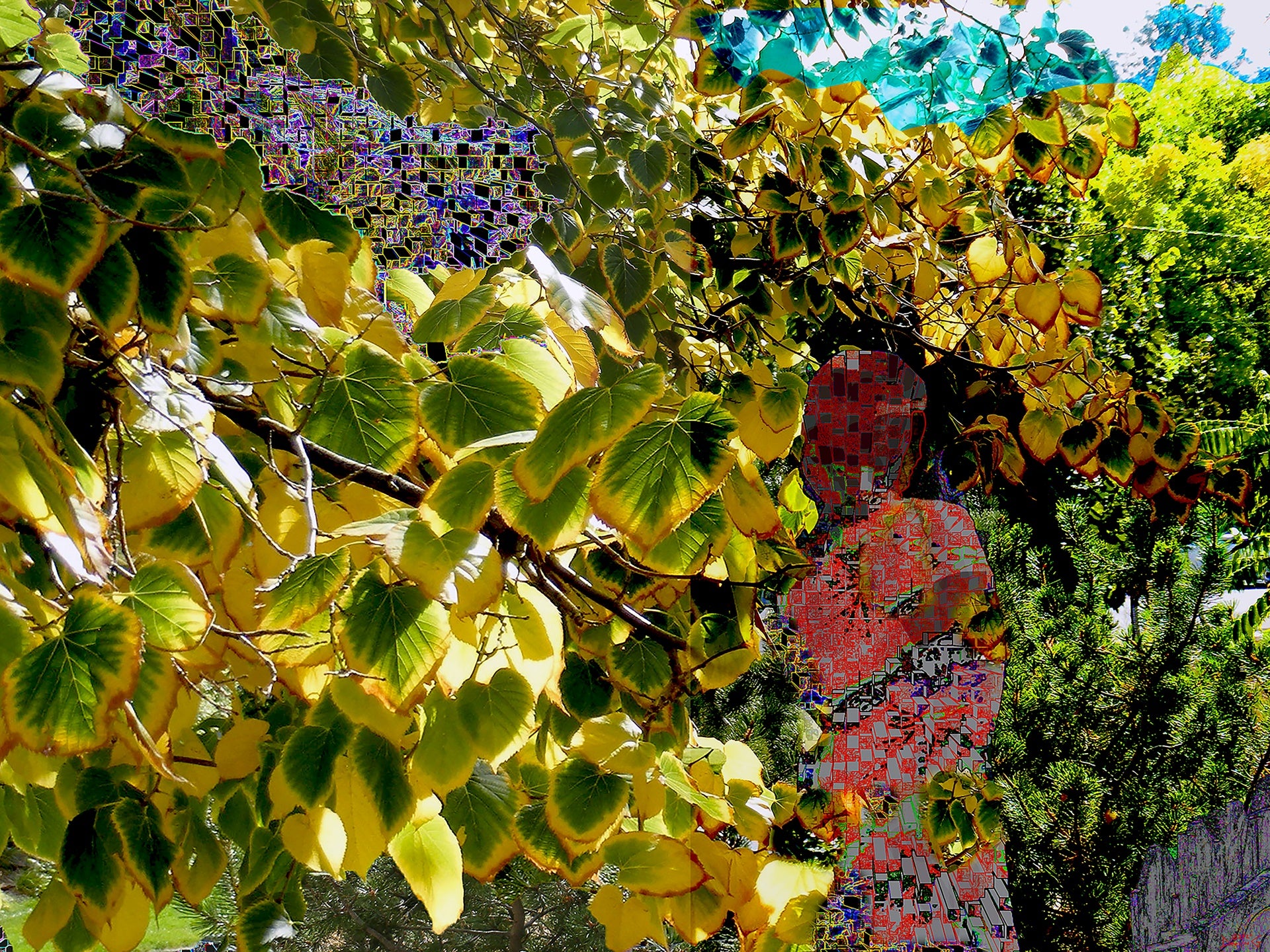 Changing Colors, No. 4 by Deeling C. Gregory