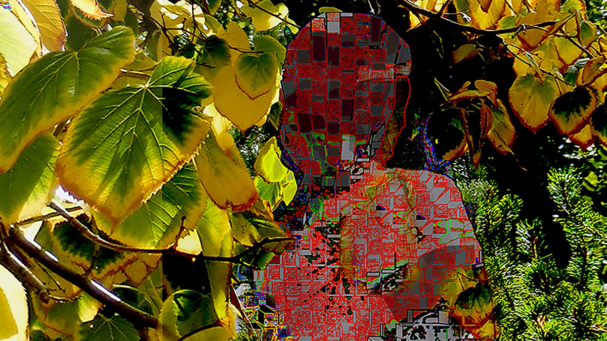 Changing Colors, No. 4 by Deeling C. Gregory