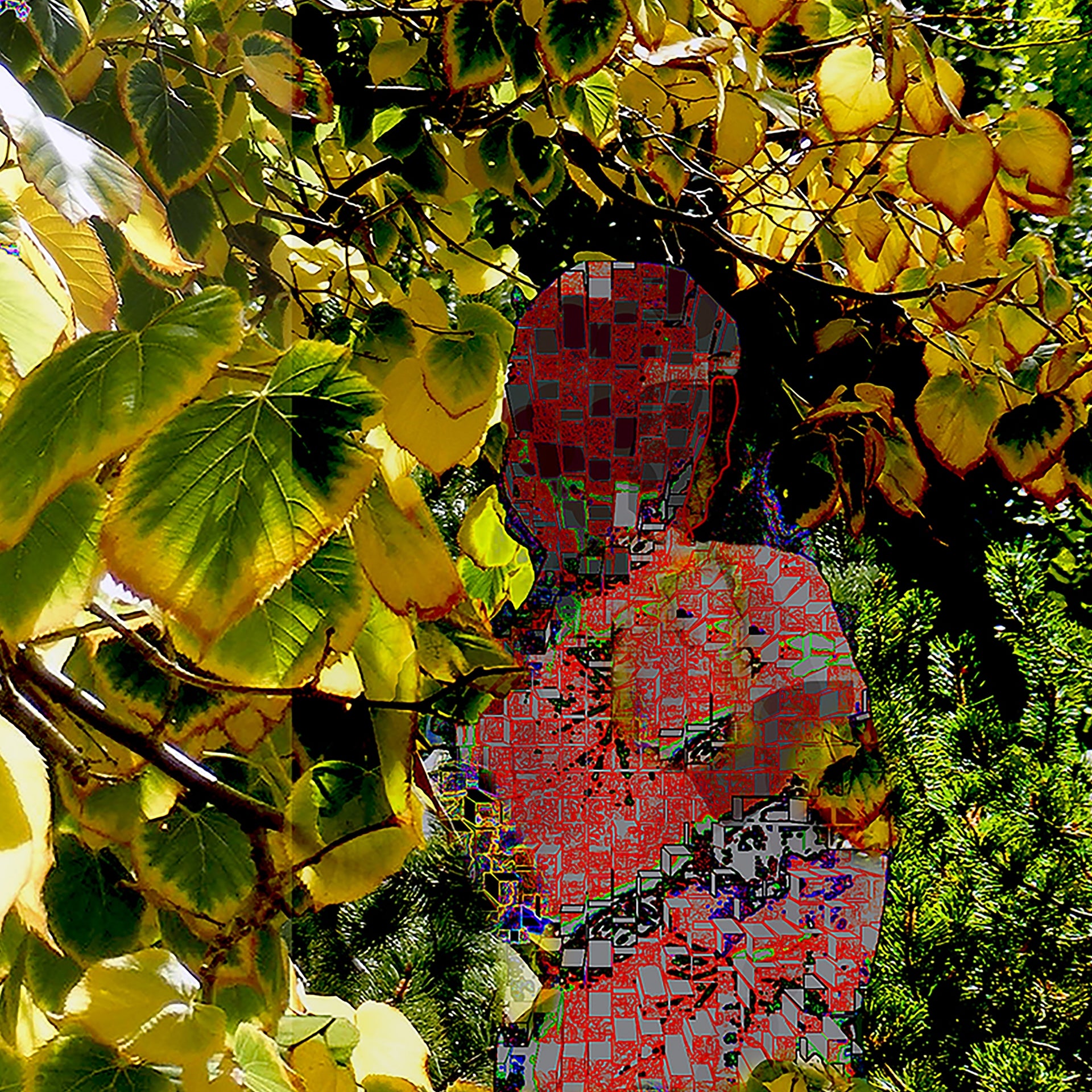 Changing Colors, No. 4 by Deeling C. Gregory