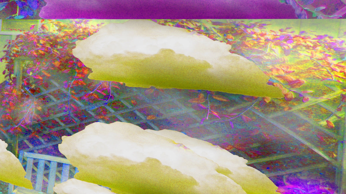 Cloud Illusion, No. 6 by Deeling C. Gregory