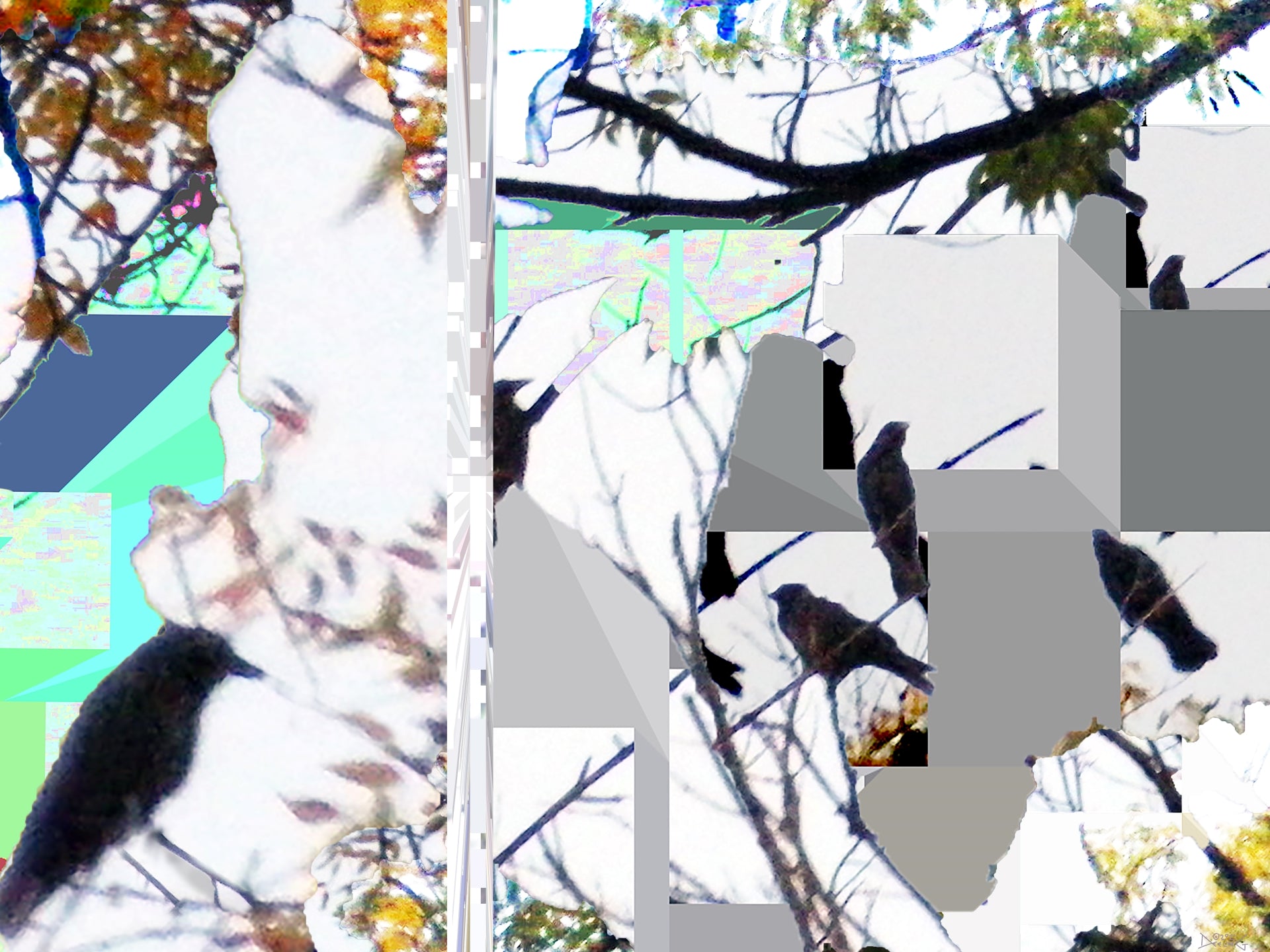 Crow, No. 4 by Deeling C. Gregory