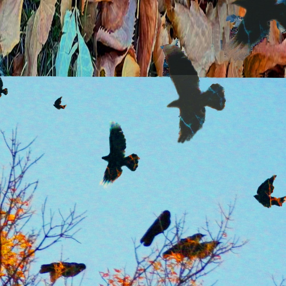 Crow Cawcuss by Deeling C. Gregory