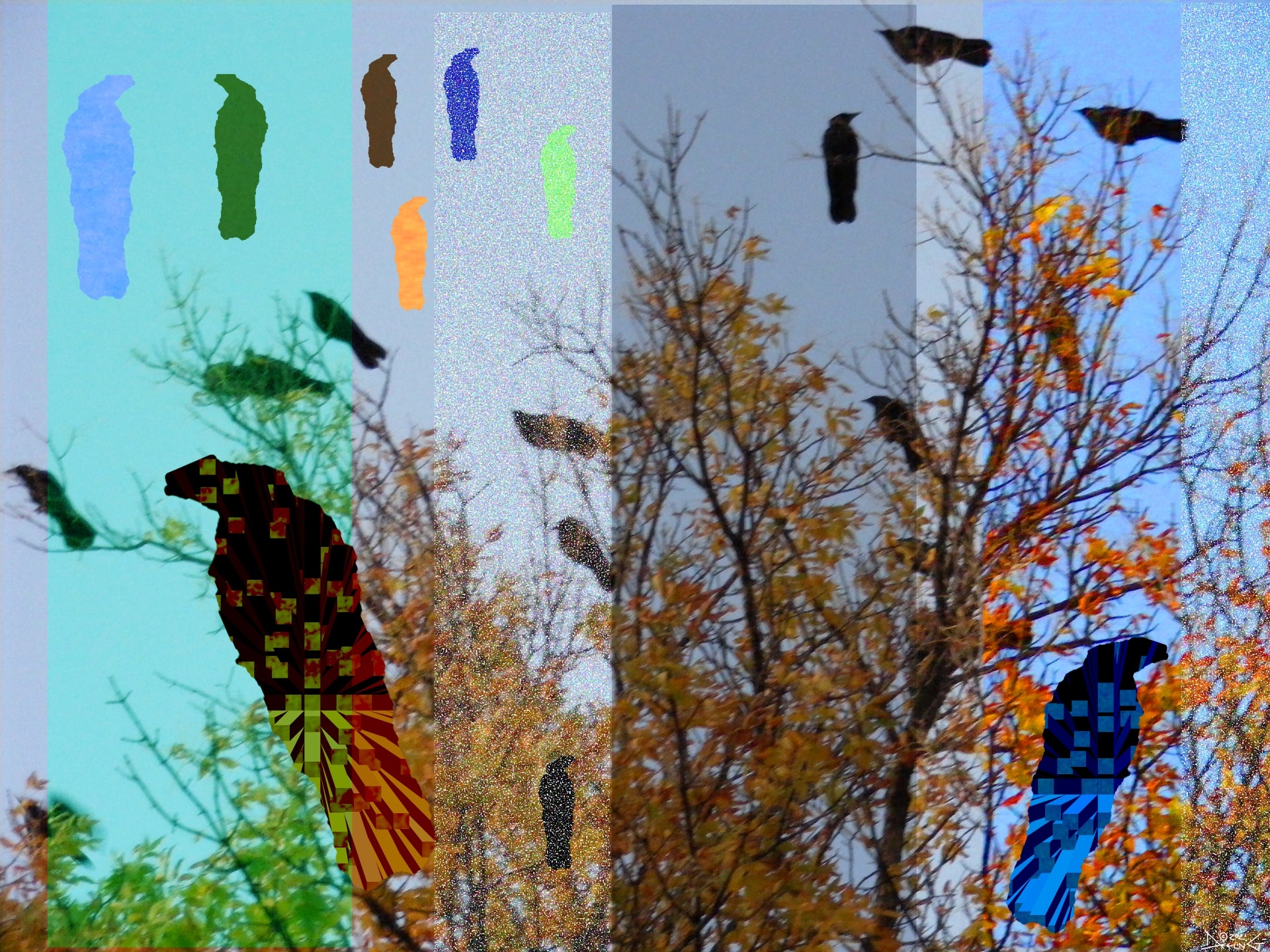 Crowing, No. 2 by Deeling C. Gregory