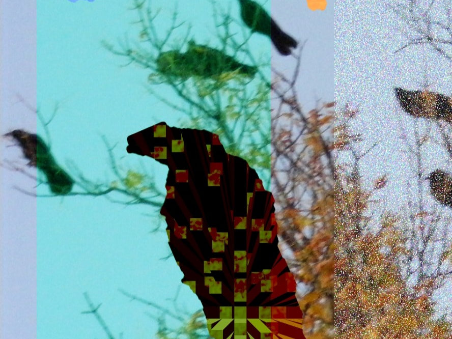 Crowing, No. 2 by Deeling C. Gregory