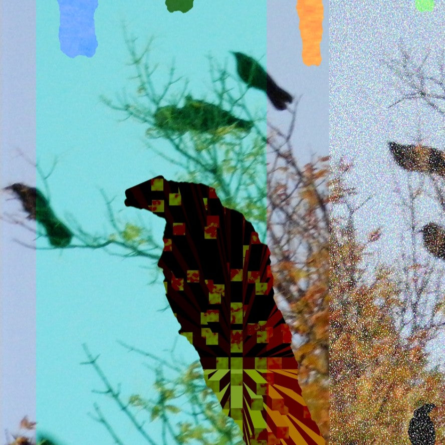 Crowing, No. 2 by Deeling C. Gregory