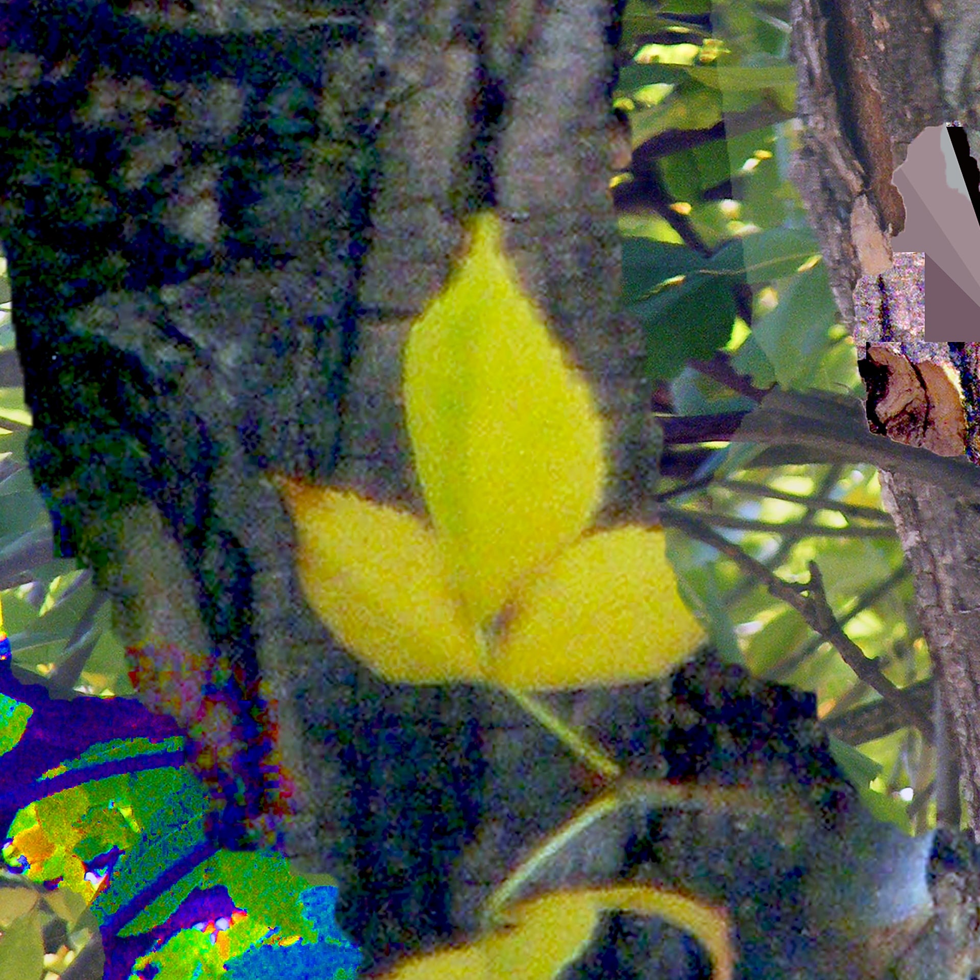 Gold Leaf, No. 4 by Deeling C. Gregory