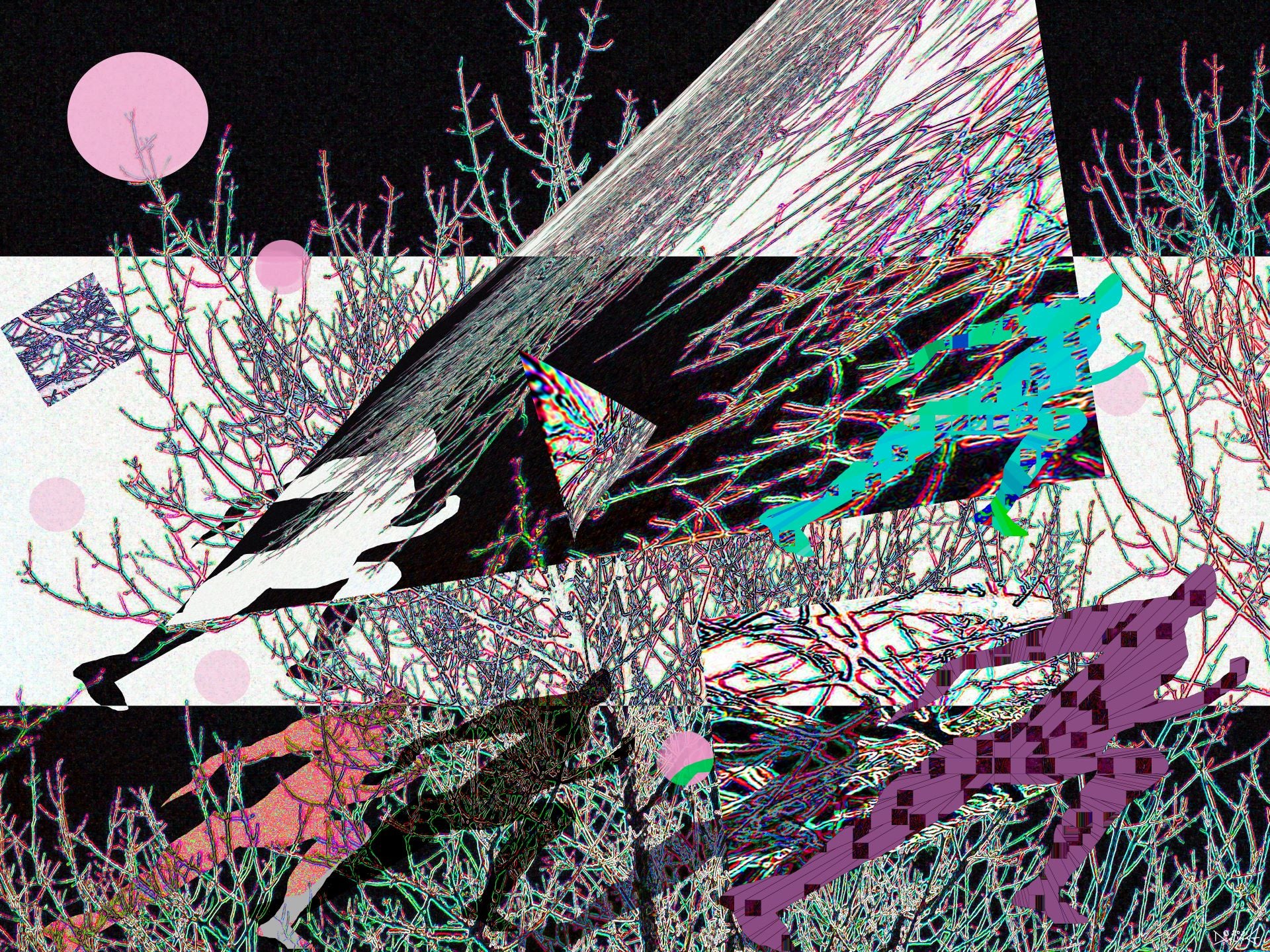 Escapade by Deeling C. Gregory