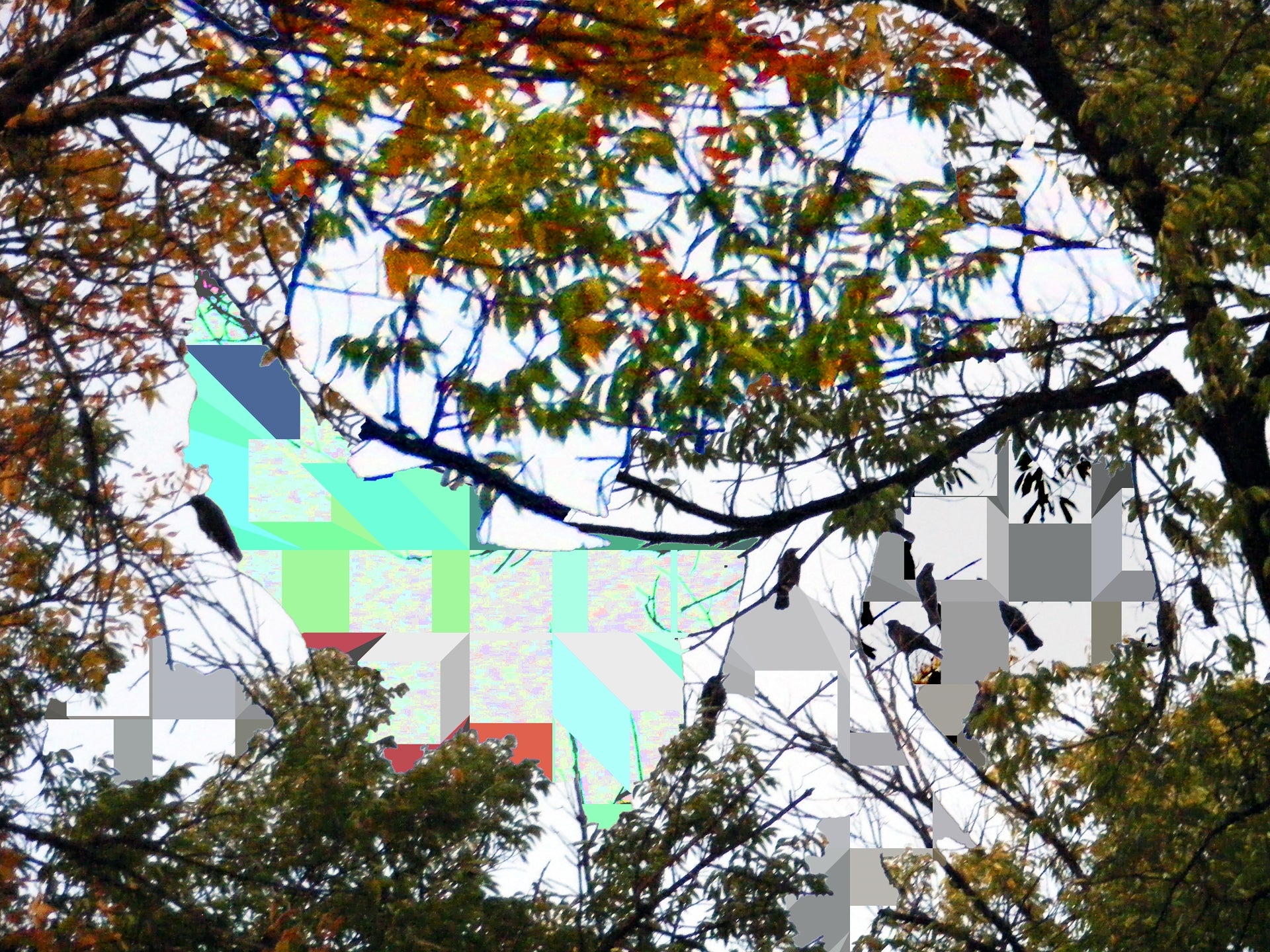 Fall Murder, No. 3 by Deeling C. Gregory