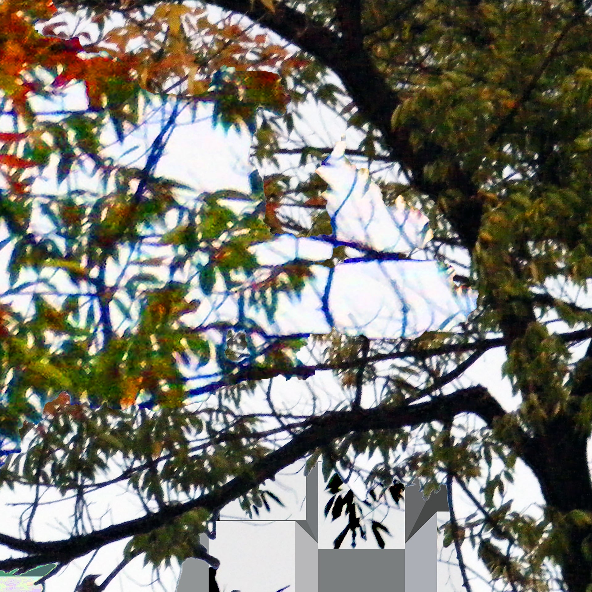 Fall Murder, No. 3 by Deeling C. Gregory