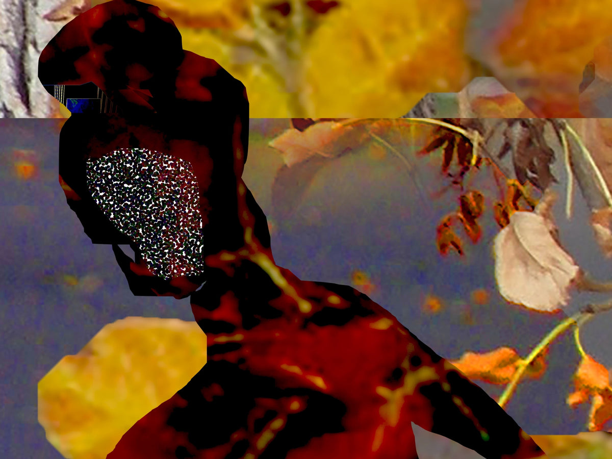 Fall on the Fly, No. 3 by Deeling C. Gregory