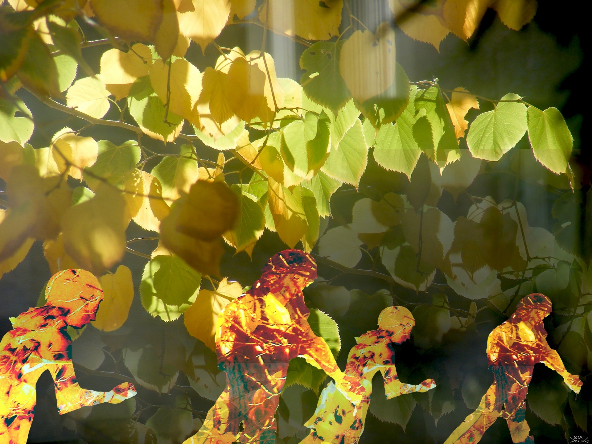 Fall Runnings, No. 2 by Deeling C. Gregory