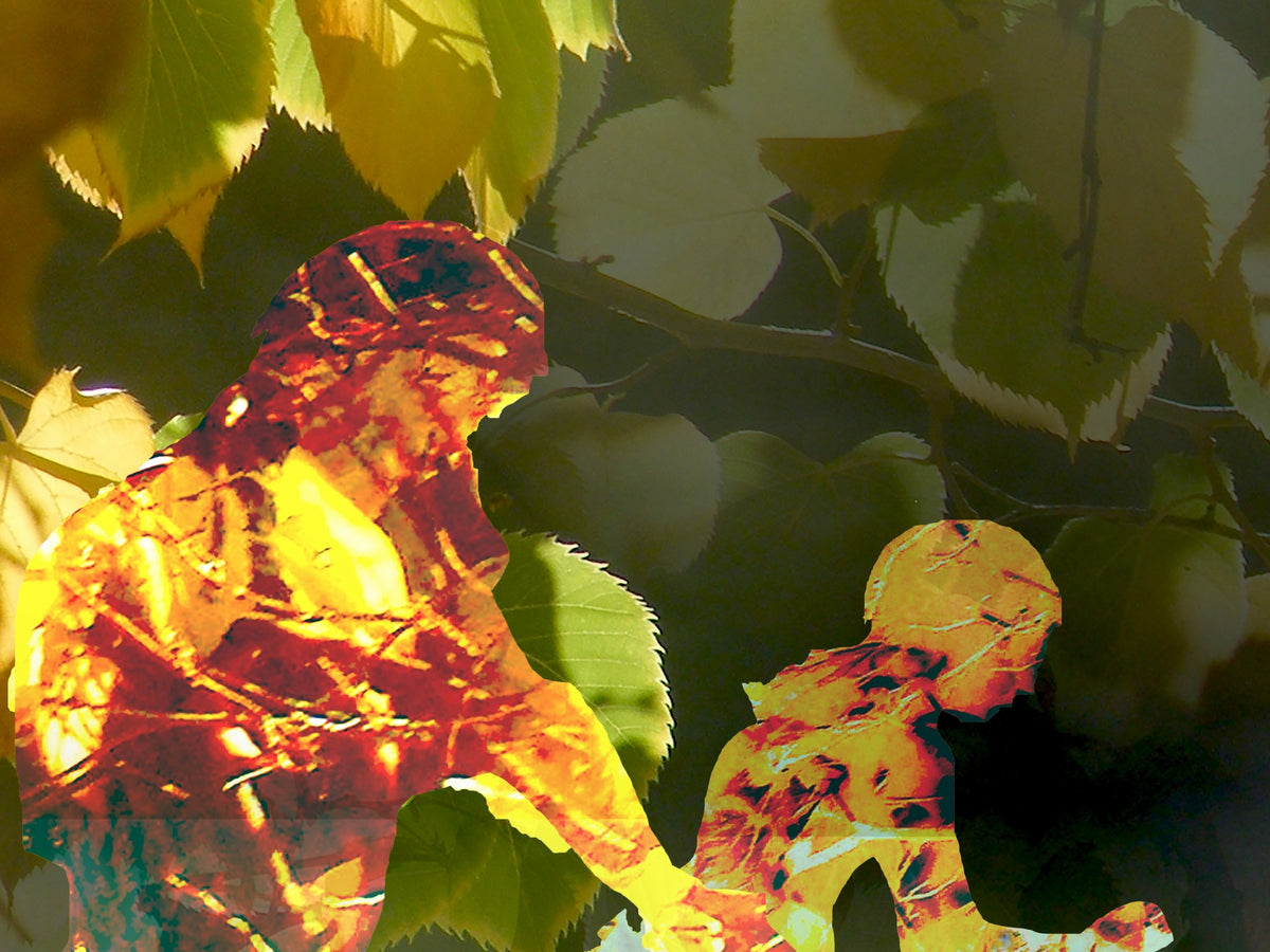 Fall Runnings, No. 2 by Deeling C. Gregory