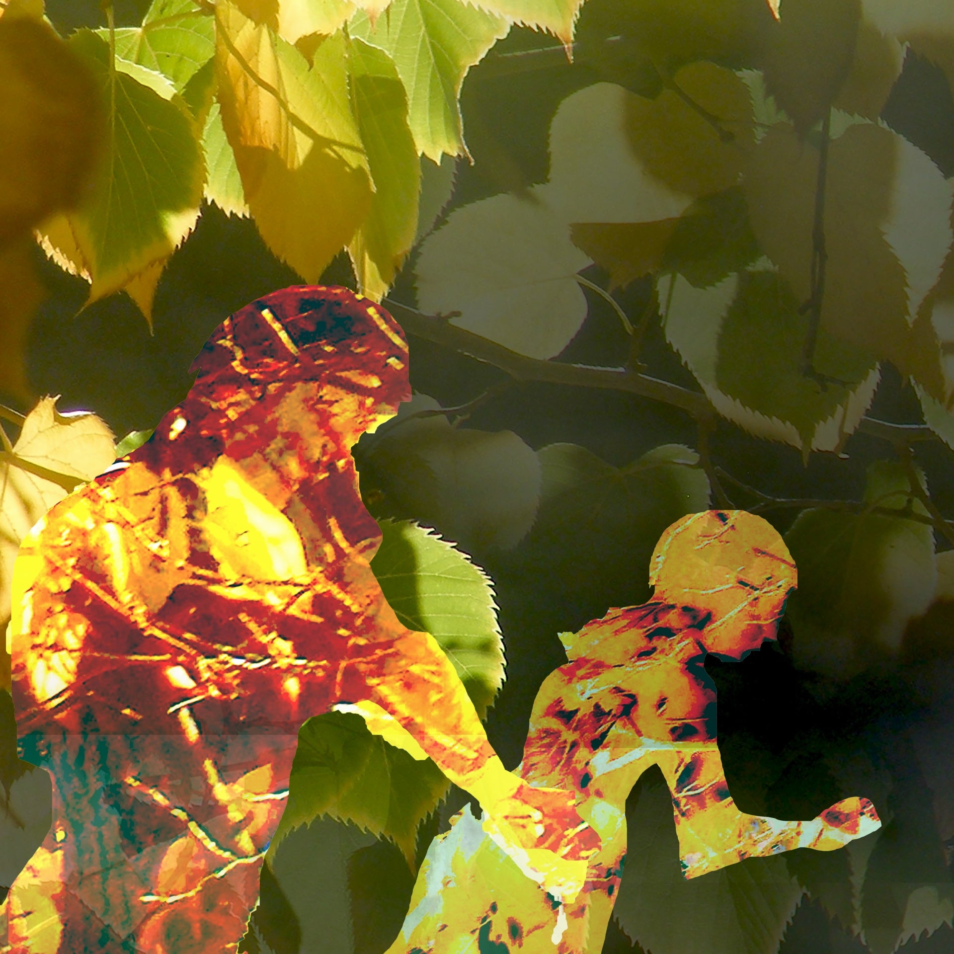 Fall Runnings, No. 2 by Deeling C. Gregory