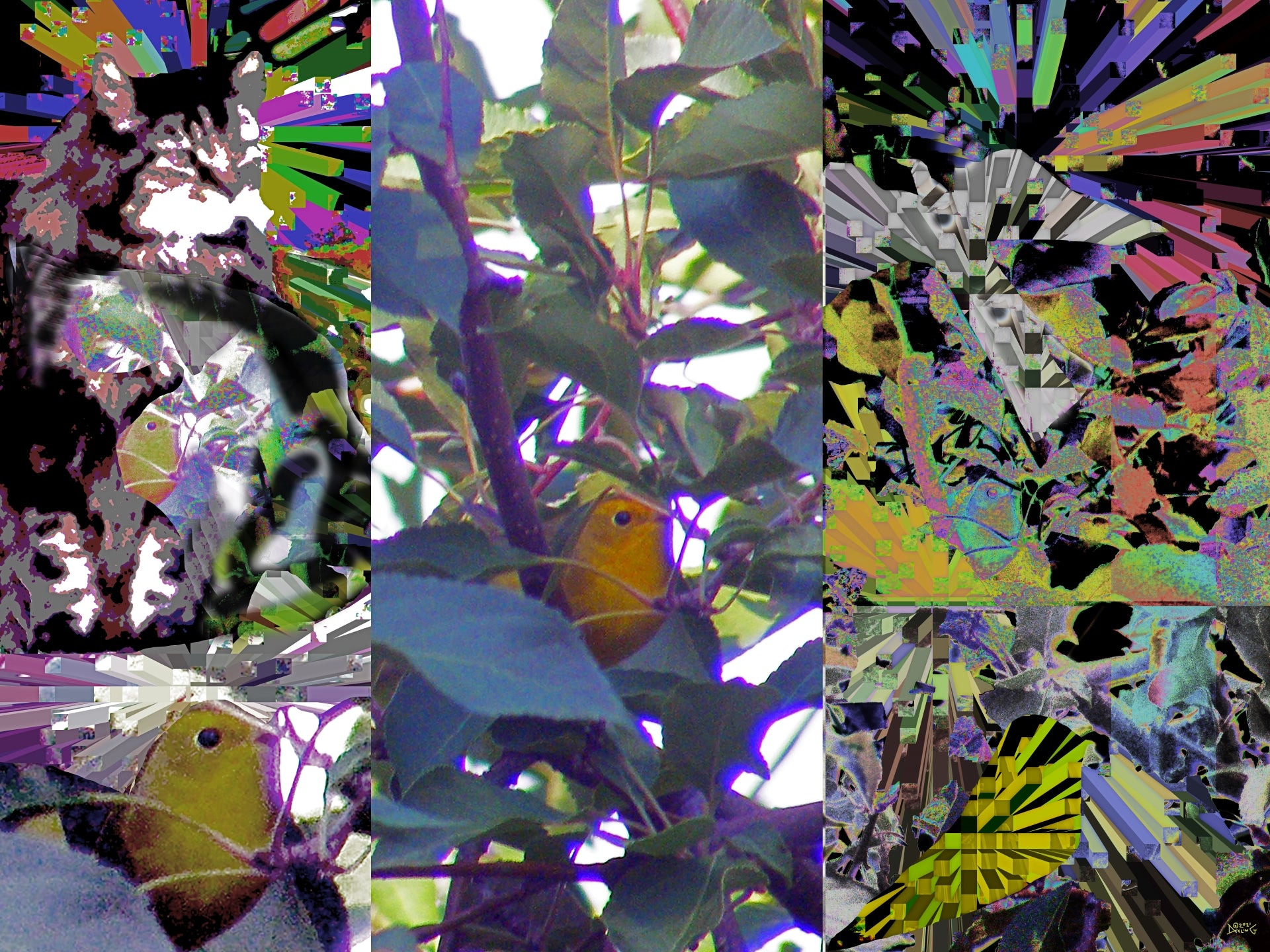 Hideaway, No. 3 by Deeling C. Gregory