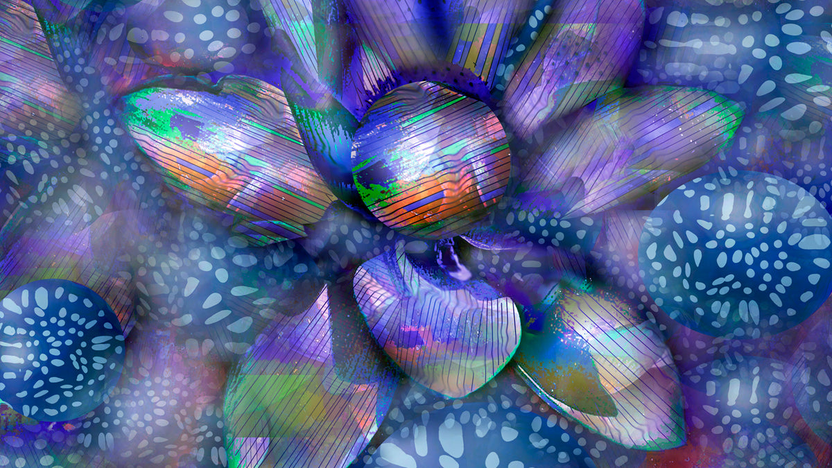 Lotus Glow 2016 by Deeling C. Gregory