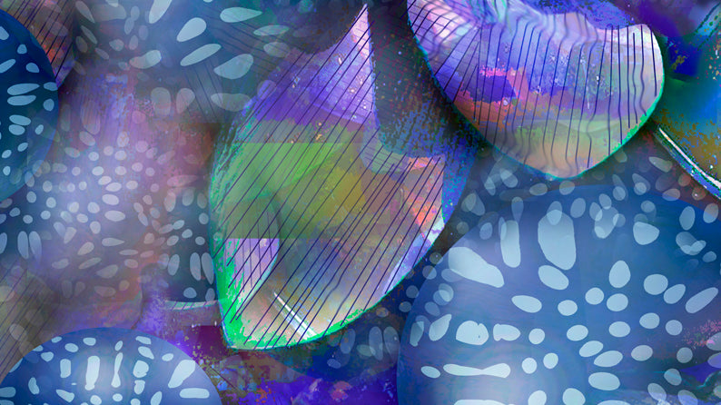 Lotus Glow 2016 by Deeling C. Gregory