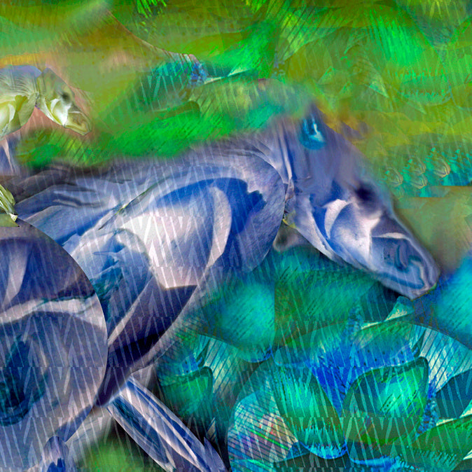 Luminous Cumulus 2017 by Deeling C. Gregory