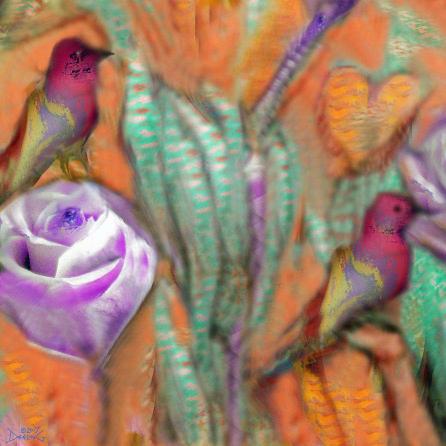 Mango Rose 2017 by Deeling C. Gregory