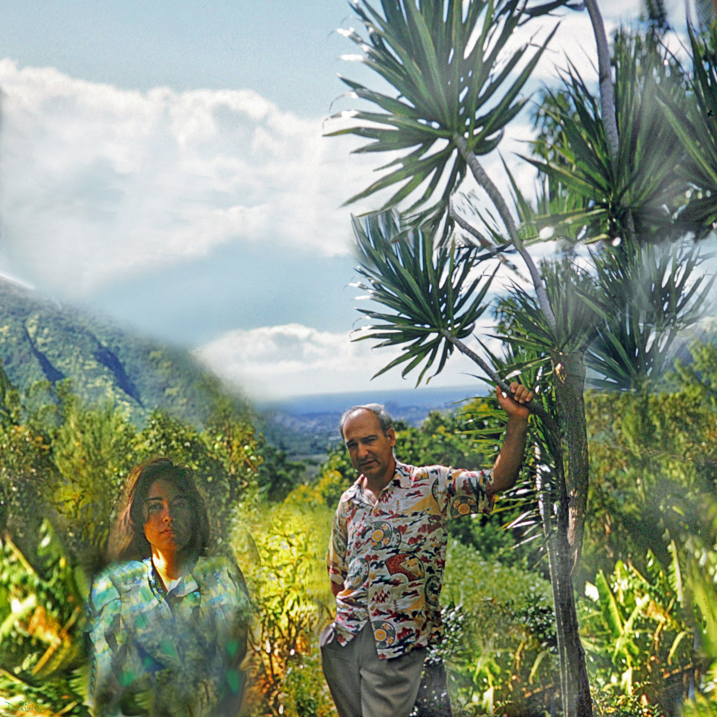 Manoa Memories 5.7 2017 Dracaena Dreams by Deeling C. Gregory