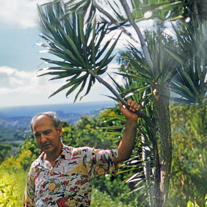 Manoa Memories 5.7 2017 Dracaena Dreams by Deeling C. Gregory