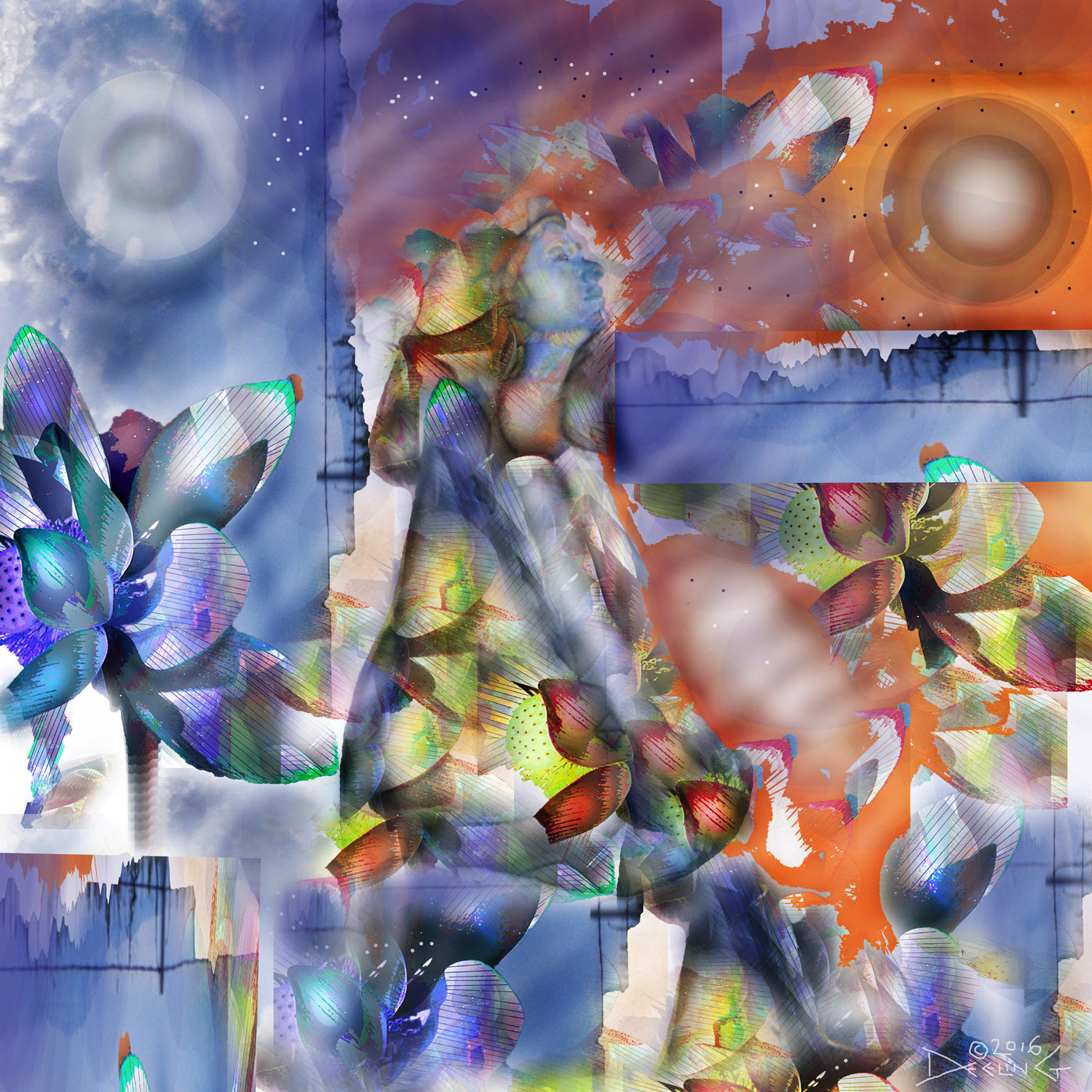 Night Sky 2016 by Deeling C. Gregory