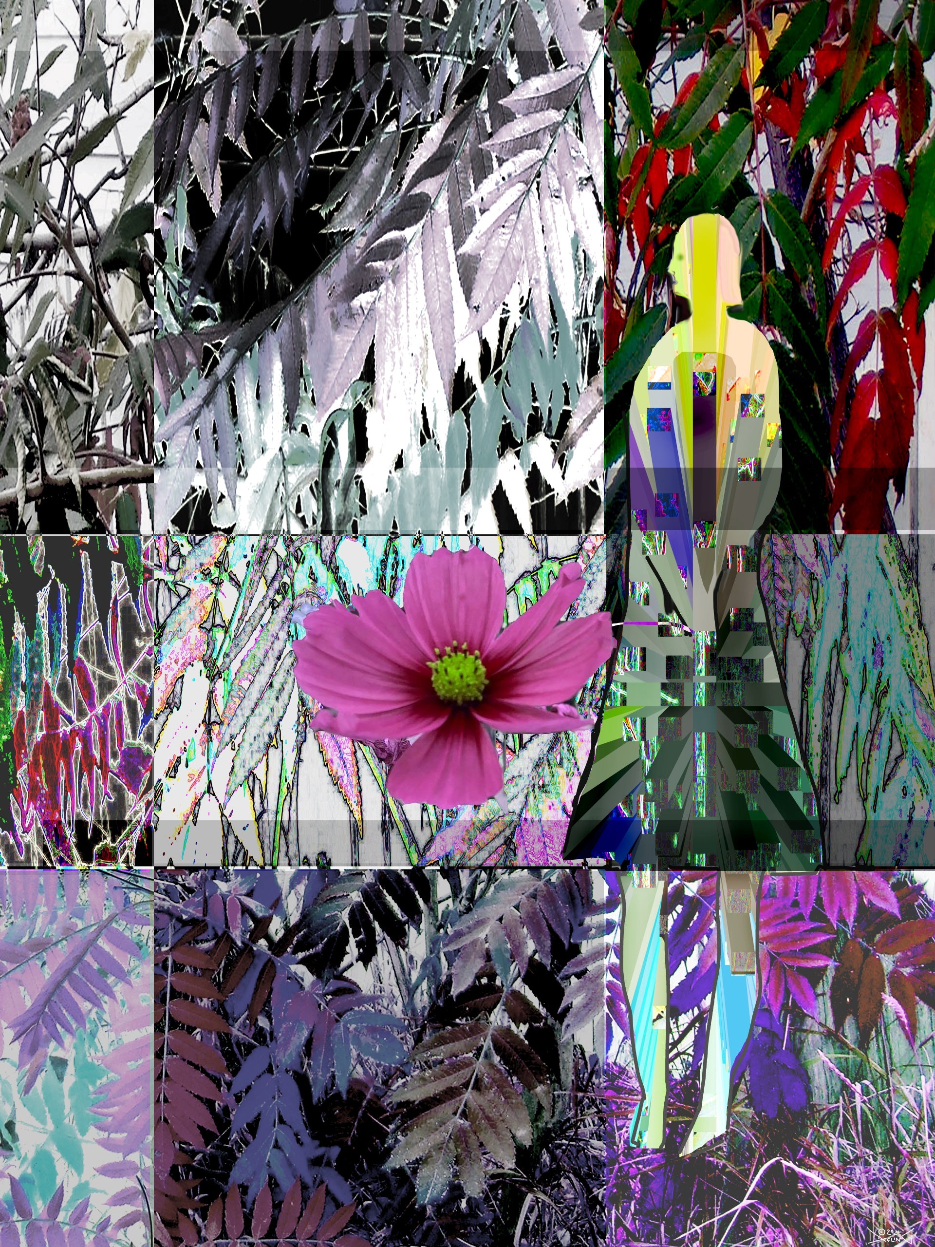 October 12 by Deeling C. Gregory