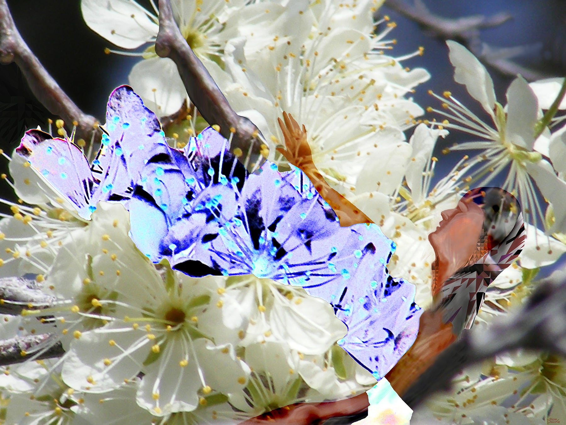 Petals, No. 3 by Deeling C. Gregory