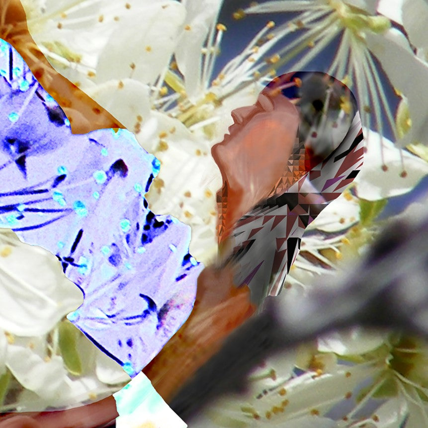 Petals, No. 3 by Deeling C. Gregory