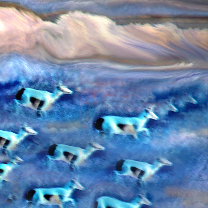 Purple Plains 2016 by Deeling C. Gregory