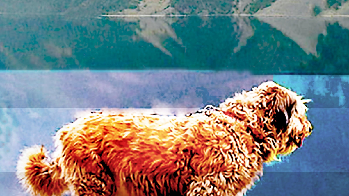 Reflections by Deeling C. Gregory