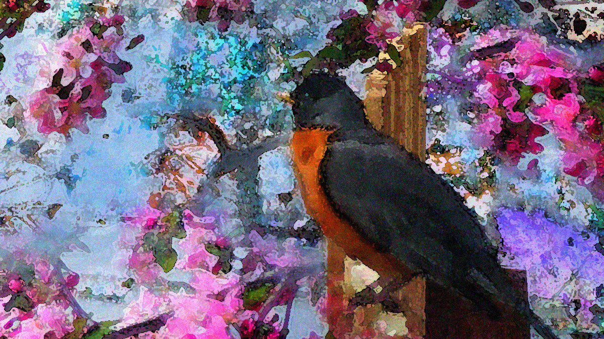 Rockin' Robin Rocks On 2018 by Deeling C. Gregory