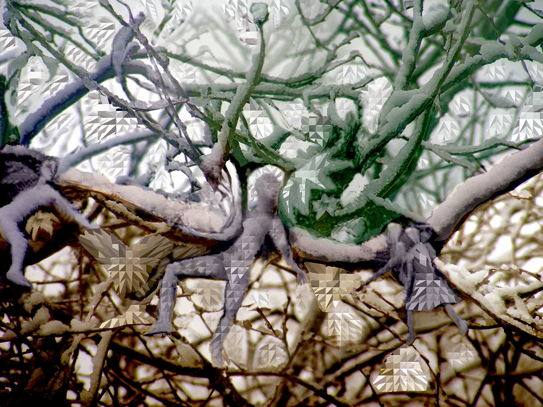 Snow Blossom, No. 8 by Deeling C. Gregory