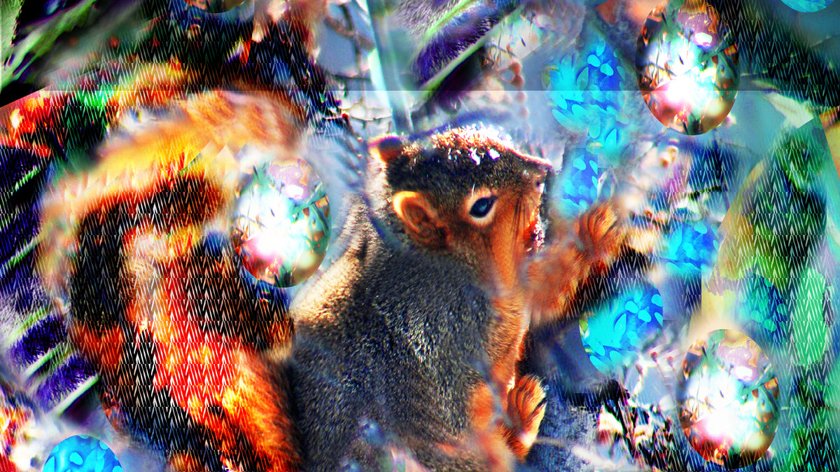 Squirrel Boy 2018 by Deeling C. Gregory