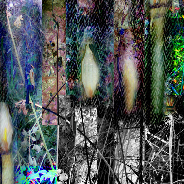 Candlelight 2018 by Deeling C. Gregory