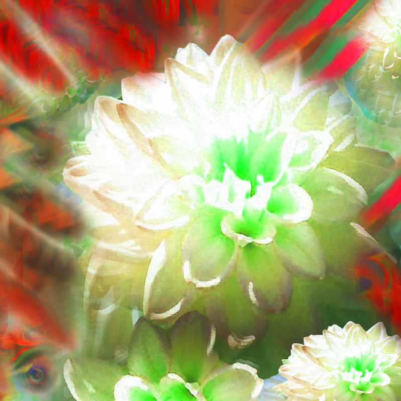 Still Life with Blossoms 2016 by Deeling C. Gregory