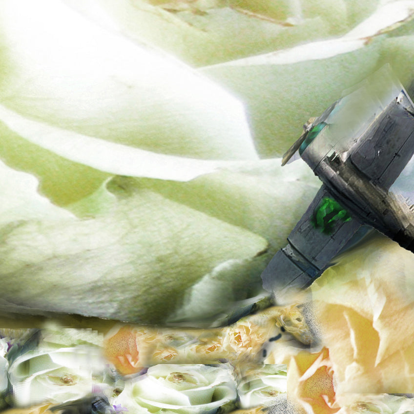 Running with Roses 2016 by Deeling C. Gregory