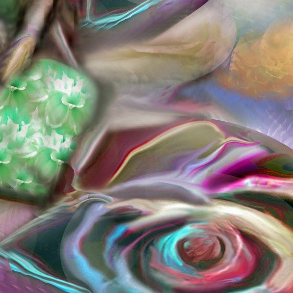 Rose Reverie 2016 by Deeling C. Gregory