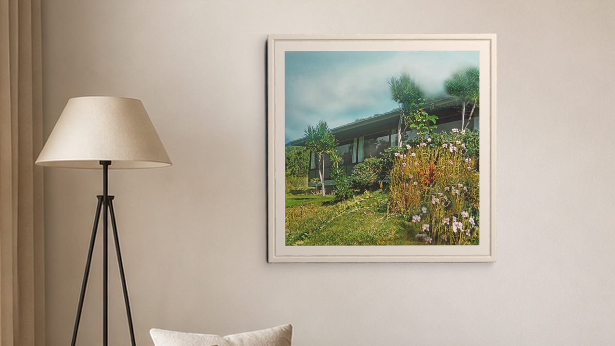 In-room view of Manoa Memories 5.5 2017 My Dracaena, 20 × 20 inch print — Deeling Metric Scene v3