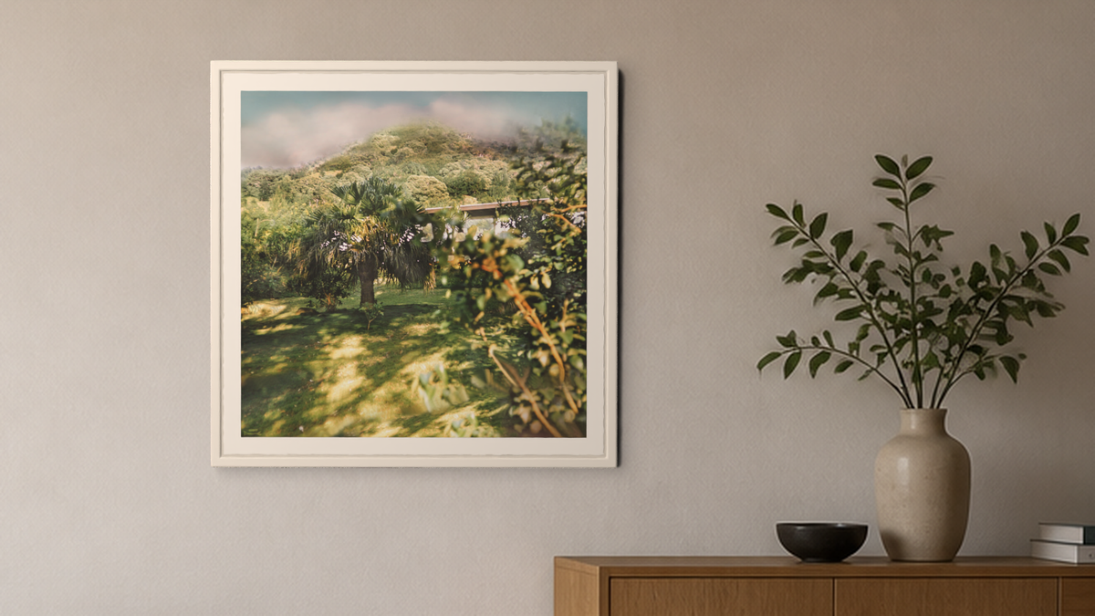In-room view of Manoa Memories 5.6 2017 Fan Palm, 20 × 20 inch print — Deeling Metric Scene v3