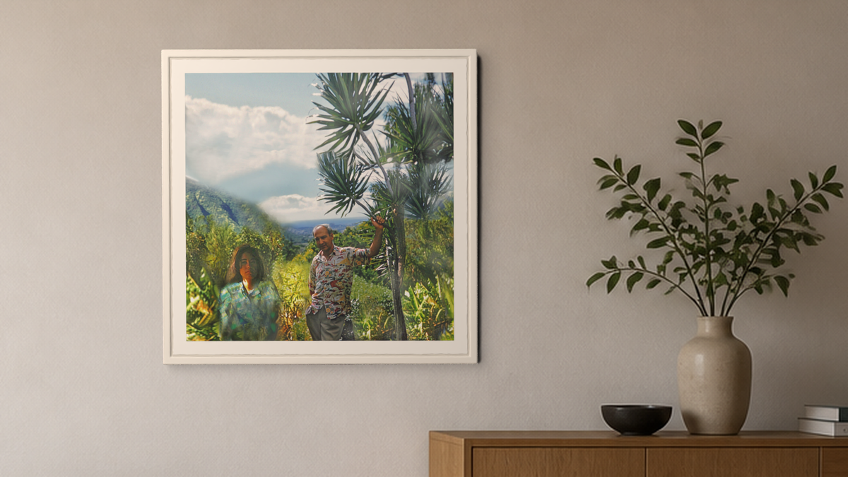 In-room view of Manoa Memories 5.7 2017 Dracaena Dreams, 20 × 20 inch print — Deeling Metric Scene v3