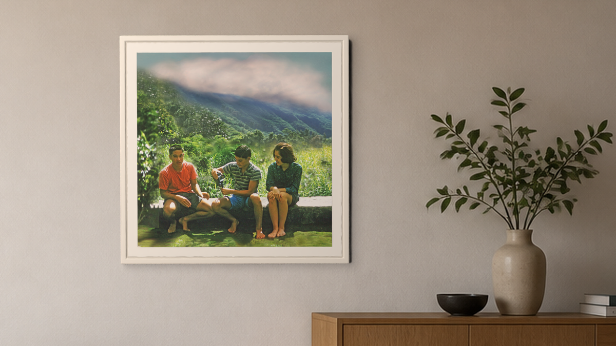 In-room view of Manoa Memories 5.9 2017 Cool Camera, 20 × 20 inch print — Deeling Metric Scene v3