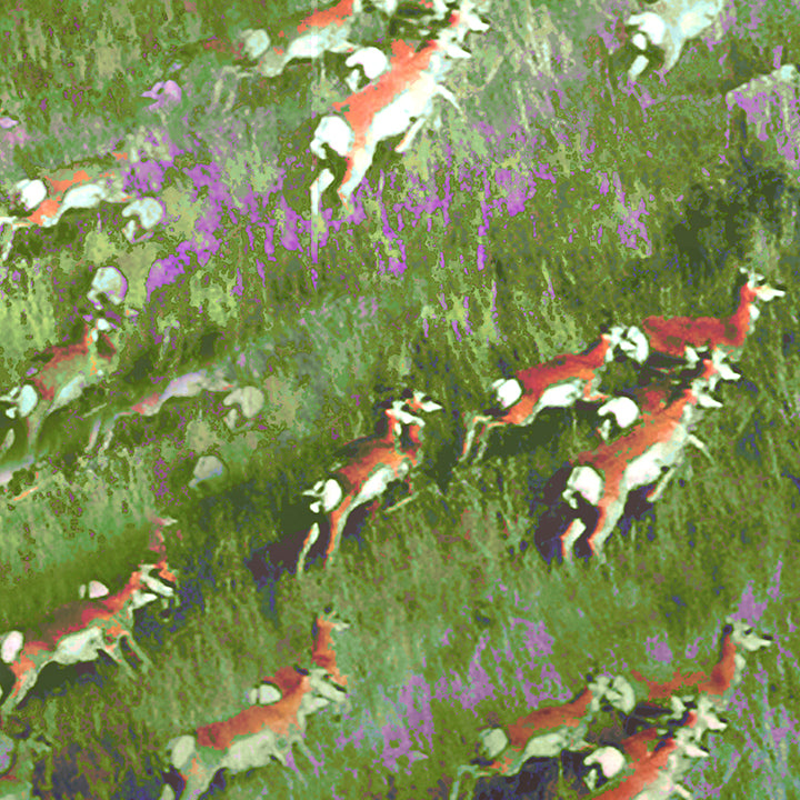 Antelope Incline Archival Art Print by Deeling