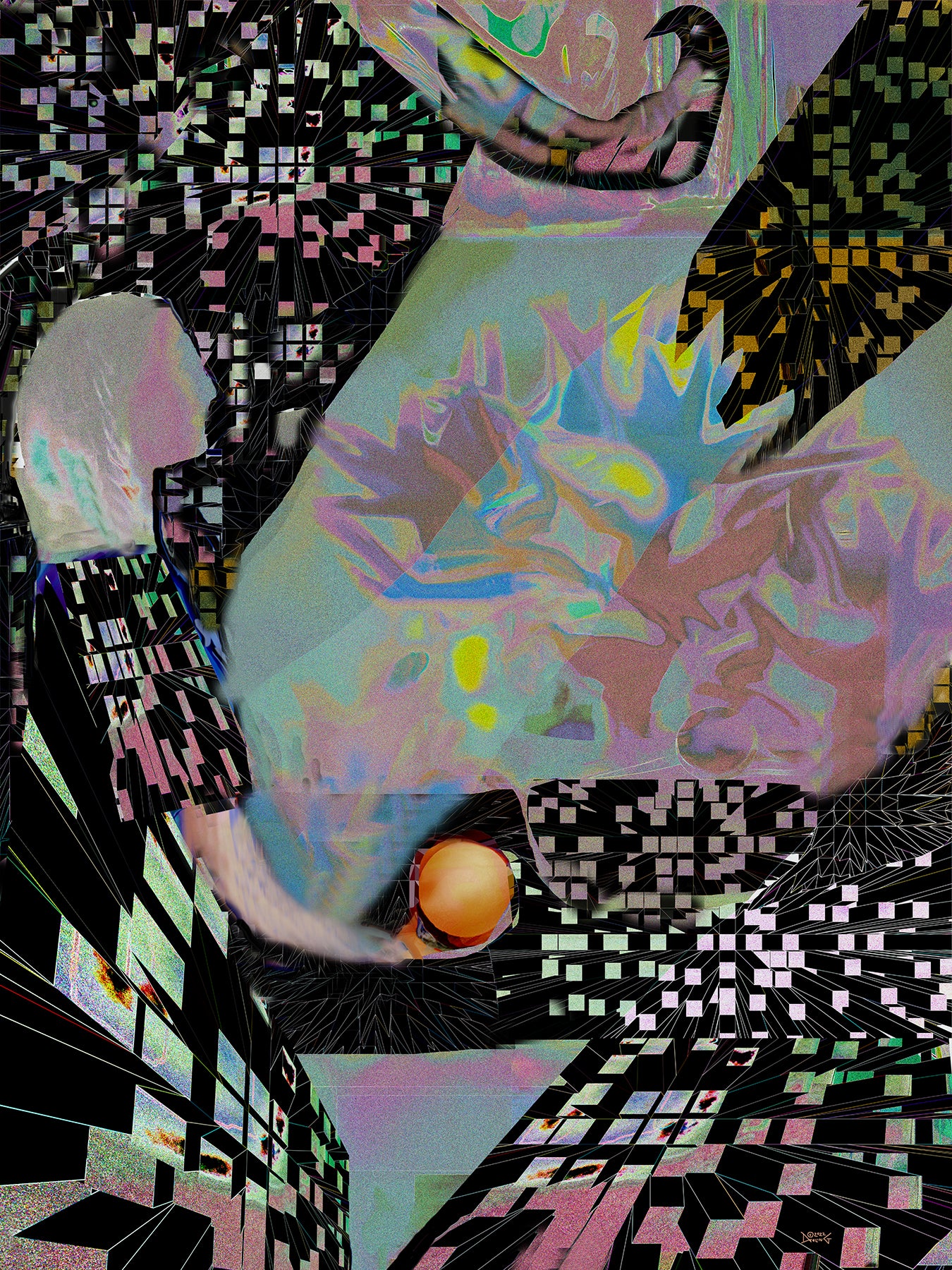 Bird of Paradise, No. 5 by Deeling C. Gregory