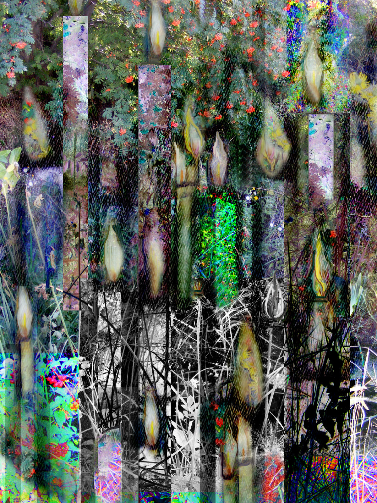 Candlelight 2018 by Deeling C. Gregory