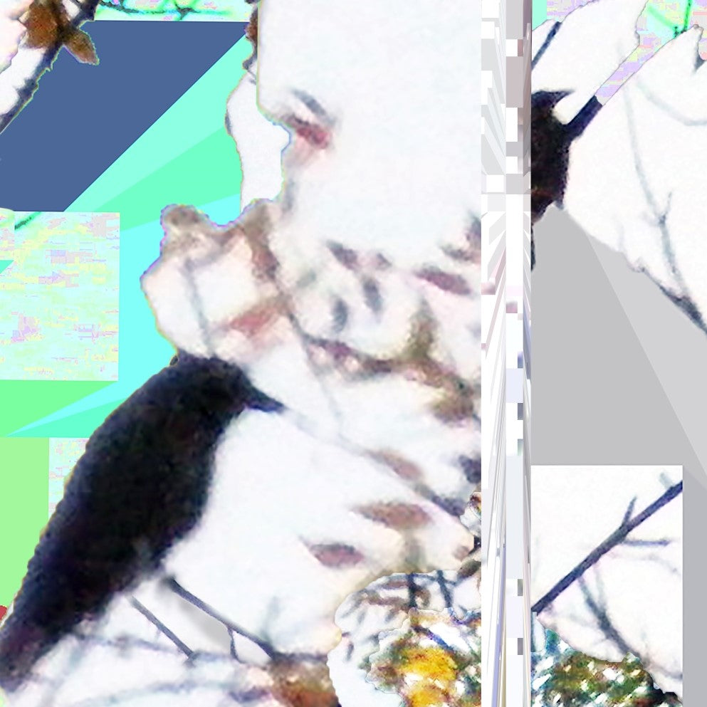 Crow, No. 4 by Deeling C. Gregory