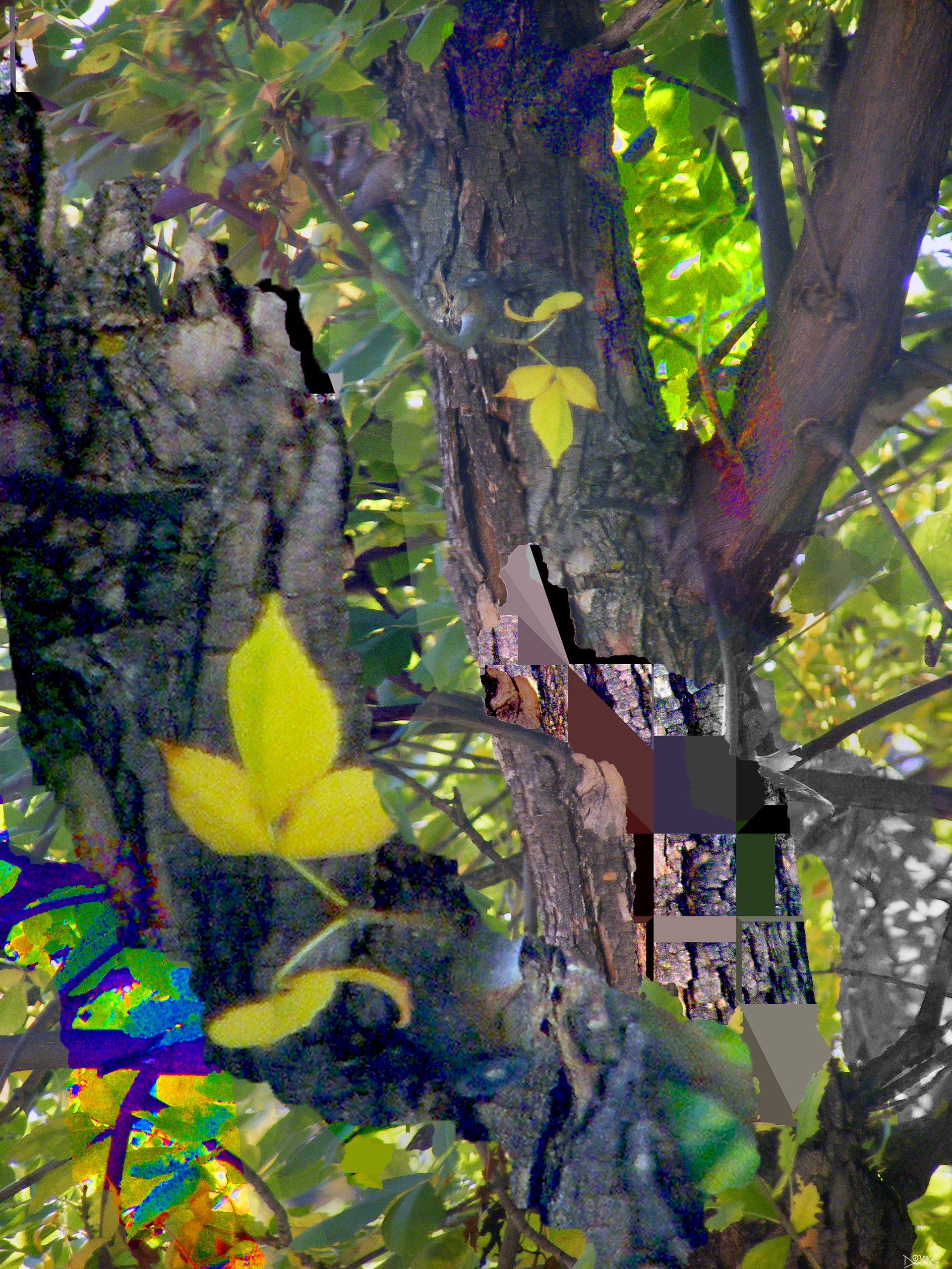 Gold Leaf, No. 4 by Deeling C. Gregory